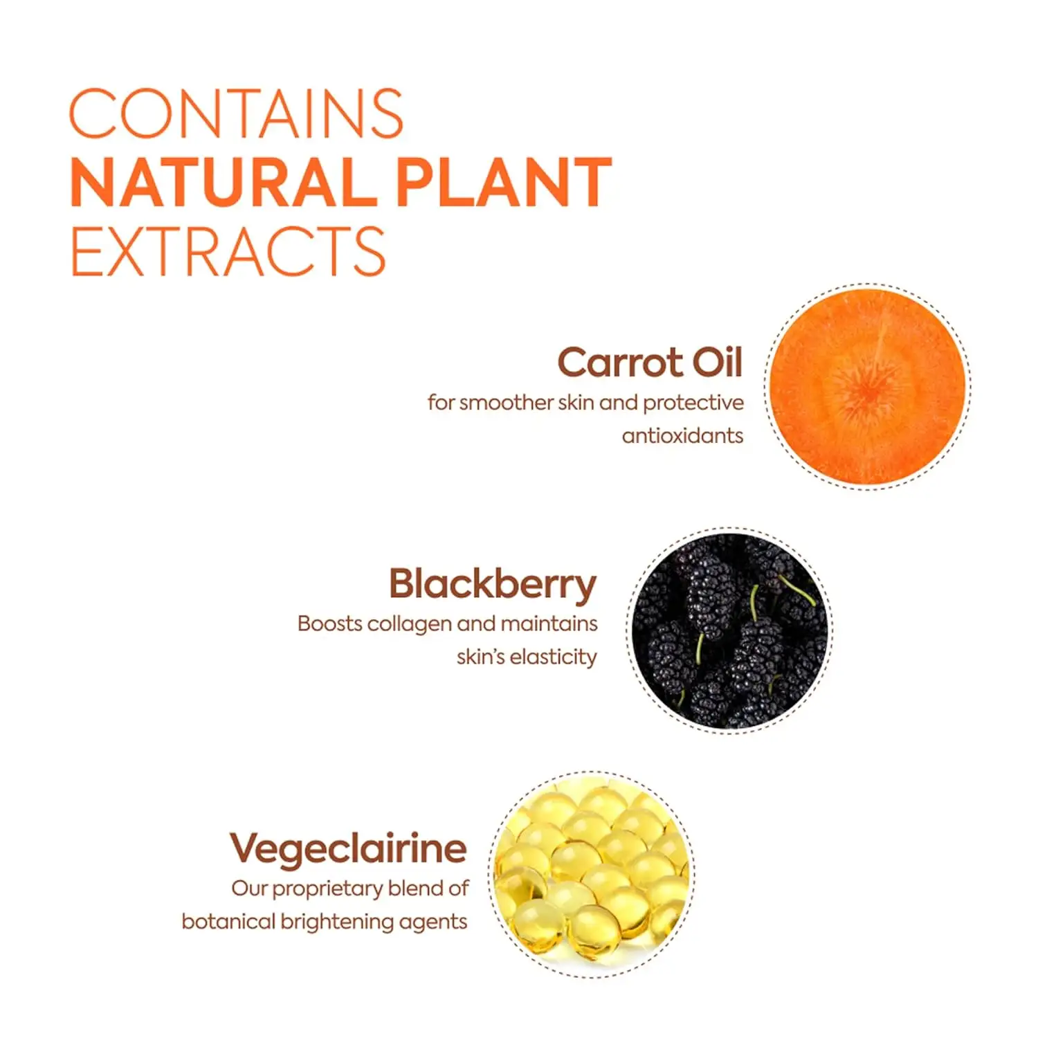 Carotene Body Lotion Fights Excess Oil Production | Helps Fade Body Scars and Marks Carrot Honey Body Lotion