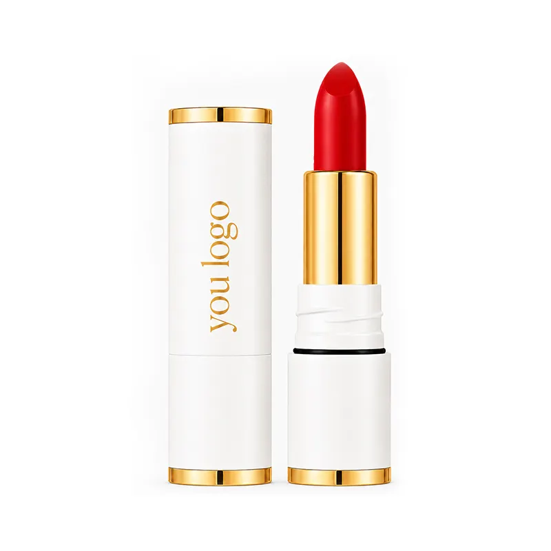 Custom Lipstick OEM High-end Cosmetics Factory Wholesale High-quality Non-stick Waterproof Long-lasting Lipstick Private Label