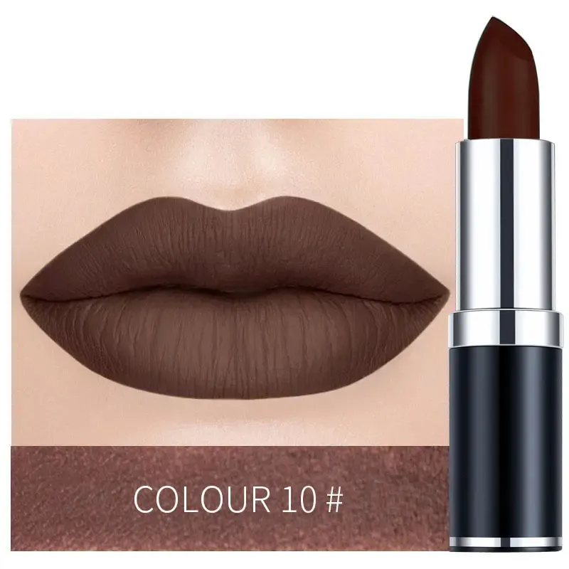 OEM Customized Vegan High Pigment Long Lasting Matte Luxury Lipstick with 12 Waterproof Shades MSDS Certified