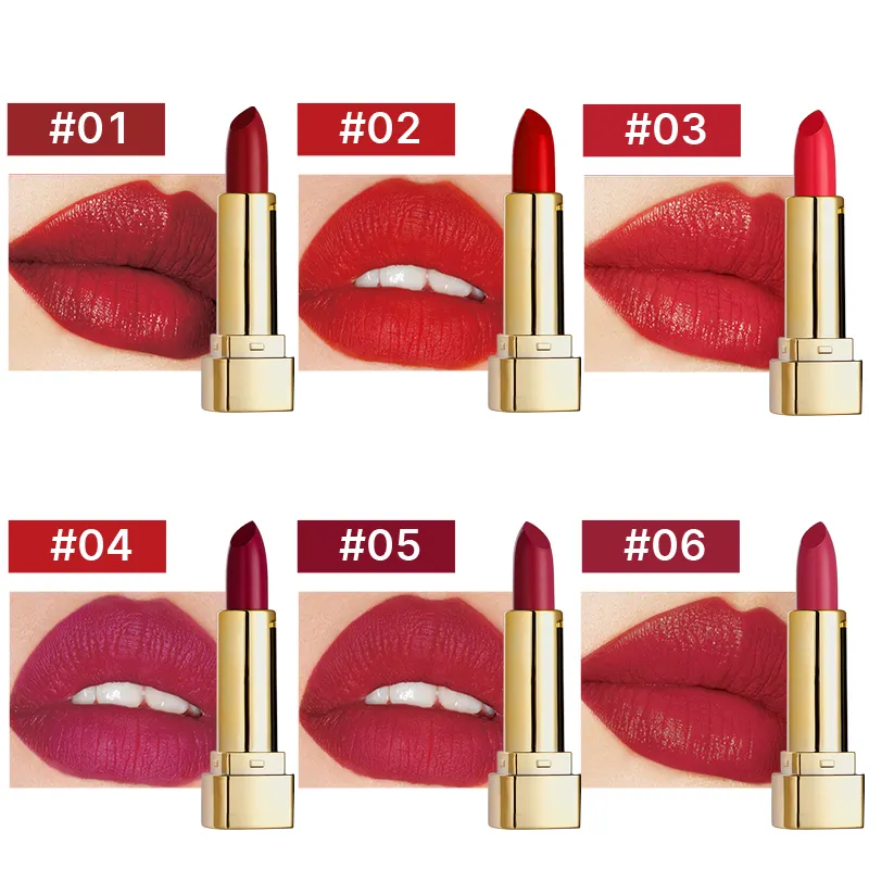 Custom Lipstick Oem Cosmetic Manufacturers Waterproof Long-lasting Moisturizing Velvet Ladies Lipstick Private Label