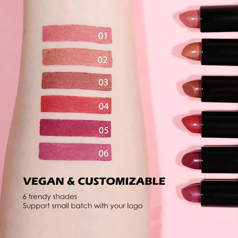 Private Label New Fashion Waterproof High Pigment Lipstick Lip Makeup Silky Soft Matte Matte Texture Lipstick