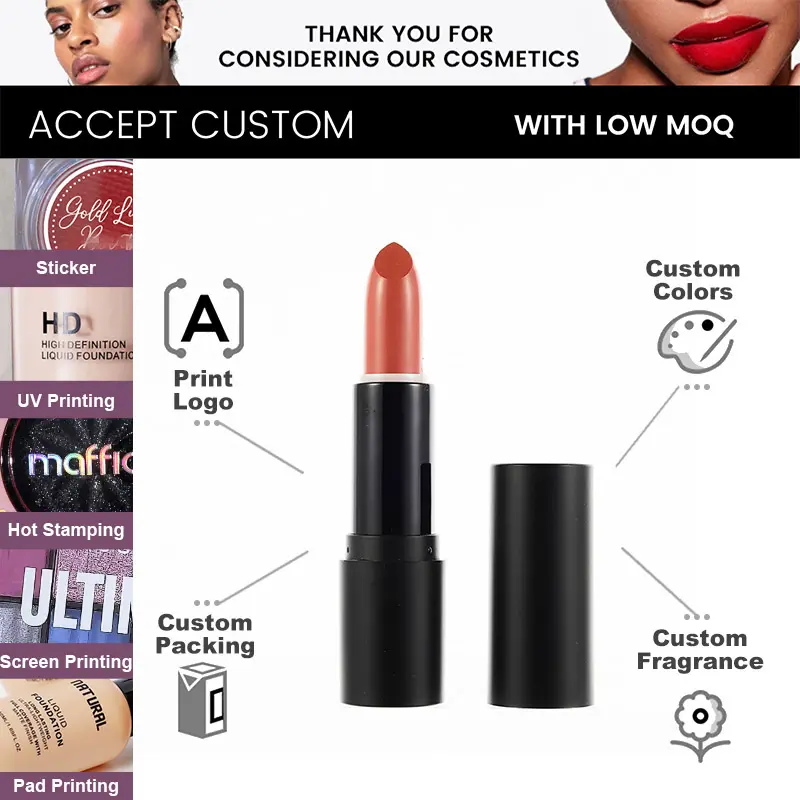 Private Label New Fashion Waterproof High Pigment Lipstick Lip Makeup Silky Soft Matte Matte Texture Lipstick