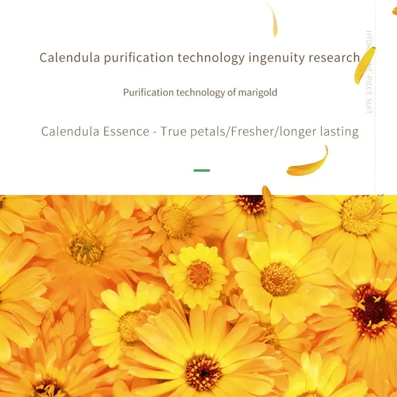 Wholesale 8-Piece Natural Herbal Skin Care Set Luxurious Calendula Face Cream Lotion Toner Serum Eye Cream Face Wash Boxed Kit