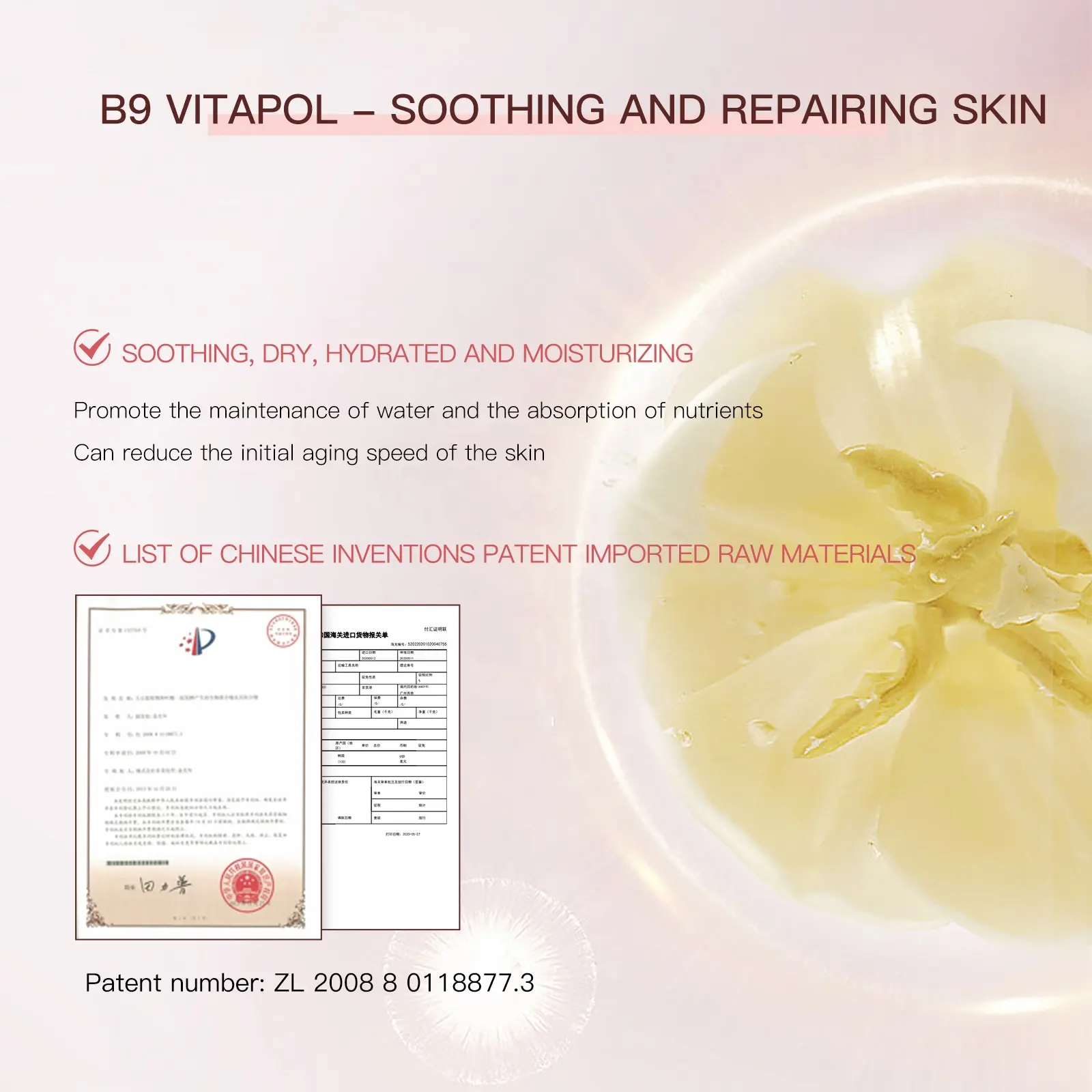 OEM Rose Skincare Set 7pc Hydrating Face Care Kit Ectoine Bifid Yeast Turkic Rose Oil Herbal Anti-Aging Complete Nourishing