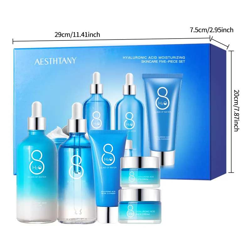 AESTHTANY Hyaluronic Acid 6-Piece Vegan Luxurious Skin Care Set Moisturizing Facial Cleanser Toner Serum Eye Cream