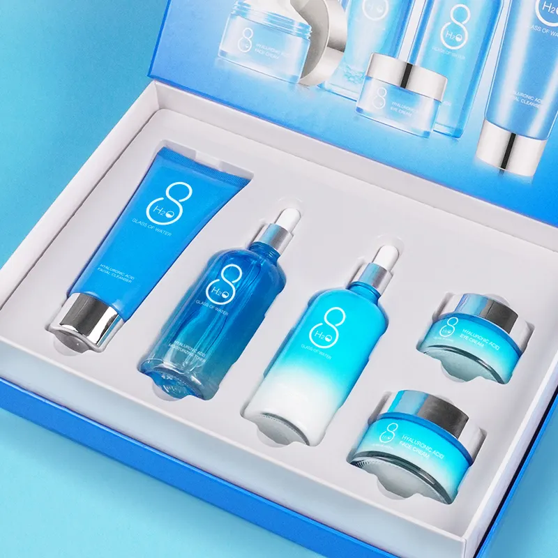AESTHTANY Hyaluronic Acid 6-Piece Vegan Luxurious Skin Care Set Moisturizing Facial Cleanser Toner Serum Eye Cream