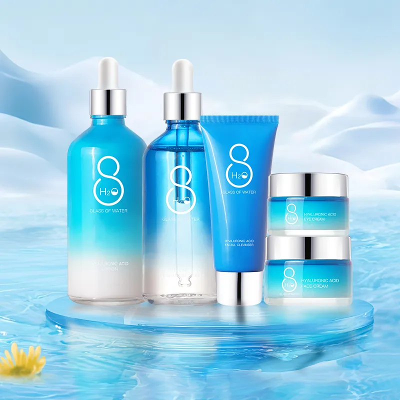 AESTHTANY Hyaluronic Acid 6-Piece Vegan Luxurious Skin Care Set Moisturizing Facial Cleanser Toner Serum Eye Cream