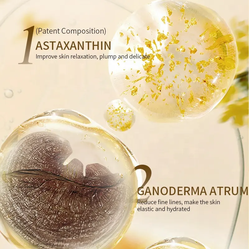 OEM Wholesale Professional Salon Complete Skincare System Home Facial Care Kit Astaxanthin Beauty Water Lock for Face Skin Care