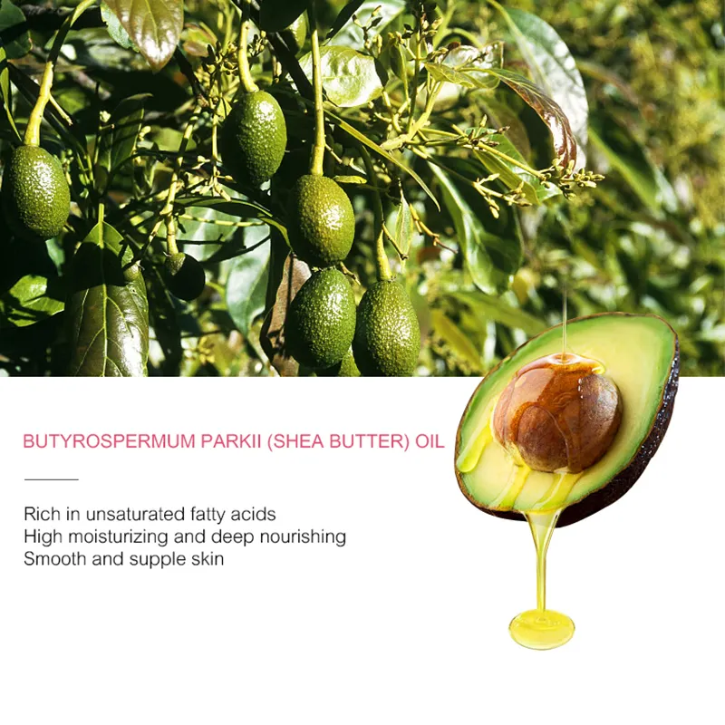 Skin Care Revitalizing for Women Organic Skin Care Product Private Label Hydrating Natural Avocado Essence VC VE Skin Care Set